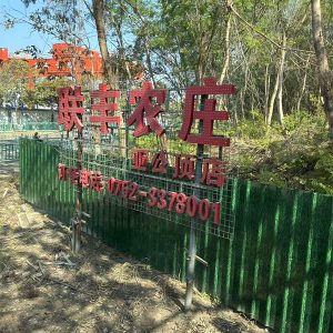 2025 惠州雙月灣除夕倒數迎2025二天團/WeChat001